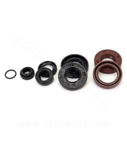 RETENES DE CIGÜENALES AM 6 50CC / BETA 50 RR / MBK 50 X-POWER / YAMAHA 50 TZR / PEUGEOT 50 XPS / RIEJU 50 RS ( 8PCS ) R: 040920H
