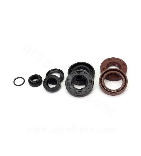 RETENES DE CIGÜENALES AM 6 50CC / BETA 50 RR / MBK 50 X-POWER / YAMAHA 50 TZR / PEUGEOT 50 XPS / RIEJU 50 RS ( 8PCS ) R: 040920H