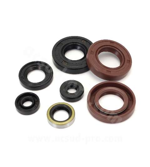 RETENES DE CIGÜENALES DERBI SENDA 2006 ( VITON + NBR OIL SEAL ) ( EURO 3 / EURO 4 ) R: 040921D