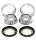 JUEGO RODAMIENTOS DIRECCION HONDA CR 250, HONDA TRANSALP 600 87/96 - ALL BALLS R: 17070