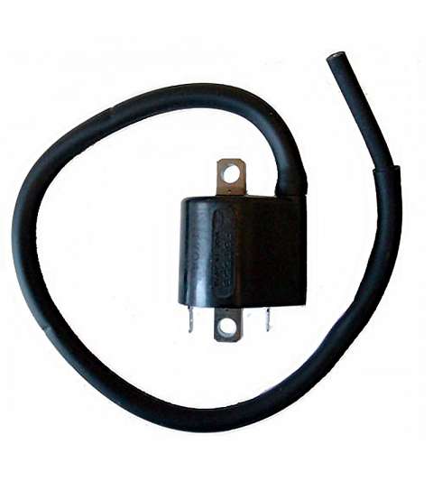 BOBINA MITSUBISHI F6T559 12V-3,6OHM-2 CONTACTOS- CON CABLE HYOSUNG COMET 650 / FORZA 250 R: 04161206
