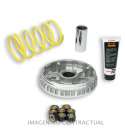 VARIADOR MALOSSI MULTIVAR 2000 PIAGGIO MP3 HPE 530 R: 5119793