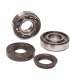 KIT RODAMIENTOS Y RETENES SUZUKI BURGMAN 125/250/400 C,C, - BCR - R: 408350925