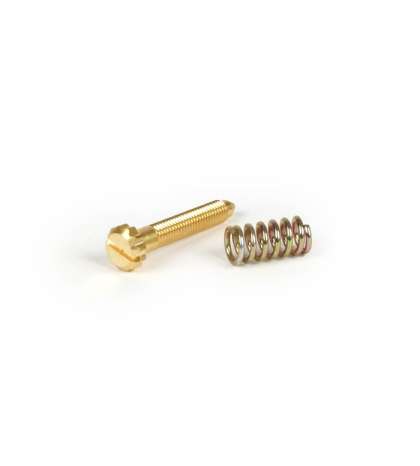 TORNILLO DE RELENTI CARBURADOR POLINI / PWK R: 3420109