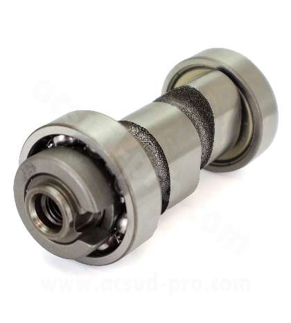 ARBOL DE LEVAS YAMAHA YBR / MH / RIEJU RS2 /DERBI SENDA 125 CC ( MOTOR 154FMI ) R: 038604