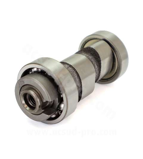 ARBOL DE LEVAS YAMAHA YBR / MH / RIEJU RS2 /DERBI SENDA 125 CC ( MOTOR 154FMI ) R: 038604