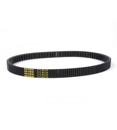 CORREA MALOSSI X K BELT HONDA PCX 125 R: 6118634