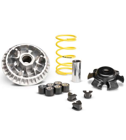 VARIADOR MALOSSI MULTIVAR SYM JOYMAX Z+ 300 IE E5 R: 5119861