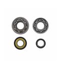 KIT RODAMIENTOS Y RETENES CIGUEÑAL PIAGGIO APE 50 C.C. R: KPSA