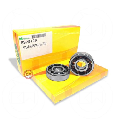 JUEGO RODAMIENTOS TPR MOTOR AM 6 - TOP PERFORMANCES - R: 9929180