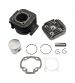 EQUIPOMOTOR MINARELLI VERTICAL AIRE 70 C.C. PISTÓN 47 MM. - BLAST - R: 403390935