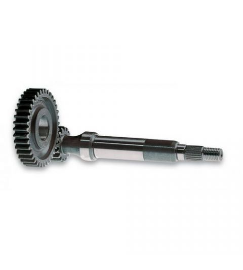 DESARROLLO PRIMARIO LARGO ZIP 50 SP 2000 MALOSSI R: 6711449