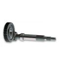 DESARROLLO PRIMARIO 16/37 LARGO ZIP 50 SP 2000 MALOSSI R: 6711449