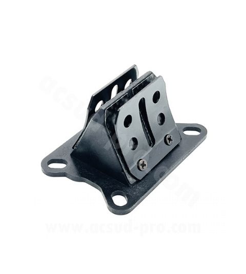 CAJA DE LAMINAS CARBONO MINARELLI AM6 / DERBI - CARENZI- R: 116040E
