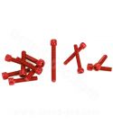 KIT TORNILLERIA CARTER AM6 ROJO 12 PIEZAS R: 171006