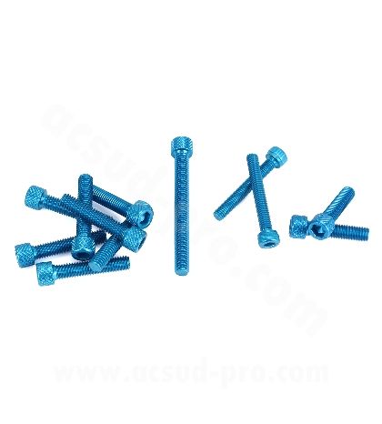 KIT TORNILLERIA CARTER AM6 ROJO 12 PIEZAS R: 171006A