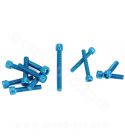 KIT TORNILLERIA CARTER AM6 AZUL 12 PIEZAS R: 171006A