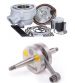 MAXIKIT PARMAKIT 110 CC + CIGUEÑAL CARRERA 46 MINARELLI AM 6 R: 53470.00/53440.14