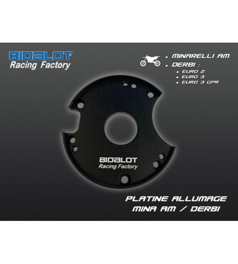 PLACA BASE MOTOR DERBI E3 ROTORES PVL / BIDALOT R: 14141380