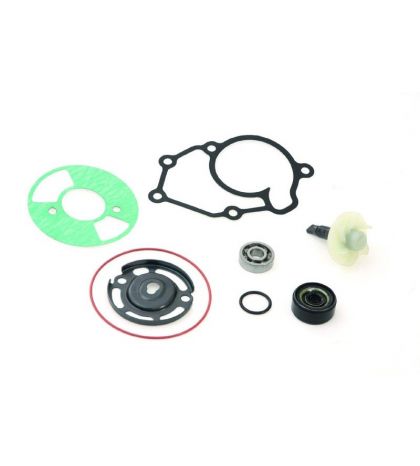 KIT REPARACIÓN BOMBA AGUA YAMAHA X-MAX 125 - TOP PERFOMANCES - R: AA00823