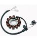 STATOR YAMAHA N MAX 125 C.C. 15/20 - SGR - R: 04553014