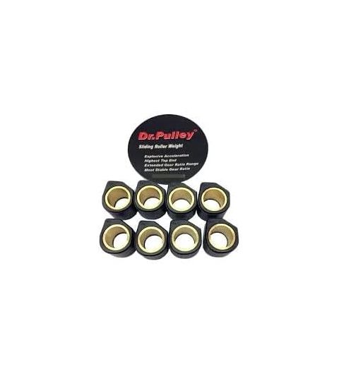 JUEGO RODILLOS DE VARIADOR Ø 20X12 (X8) 10 GR. DR PULLEY R: SR200120W120