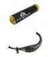 ESCAPE MINARELLI AM 6 KRM PRO RIDE 100 / 115 C.C SILENCIADOR NEGRO-ORO R: E12OR