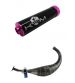 ESCAPE MINARELLI AM 6 KRM PRO RIDE 100 / 115 C.C SILENCIADOR NEGRO-LILA R: E12LI