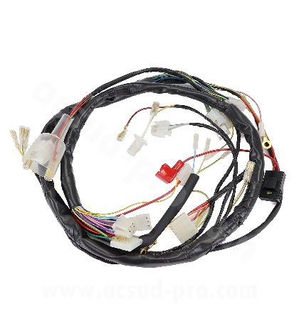CABLEADO ELECTRICO COMPLETO DERBI SENDA 50 2006-2010 ( DB50B0 ) GILERA SMT-RCR 2006-10 R: 187240H