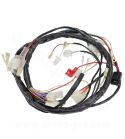 CABLEADO ELECTRICO COMPLETO DERBI SENDA 50 2006-2010 ( DB50B0 ) GILERA SMT-RCR 2006-10 R: 187240H