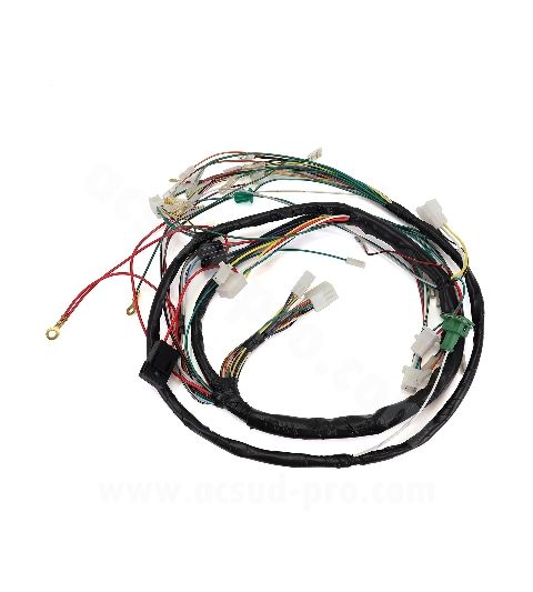 CABLEADO ELECTRICO COMPLETO PEUGEOT SPEEDFIGHT 2 R: 187240F