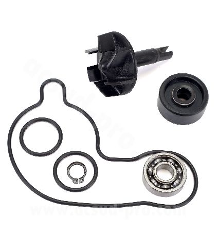 MECANISMO DE BOMBA DE AGUA YAMAHA X MAX 300 C.C. DESDE 2017 R: 093609I