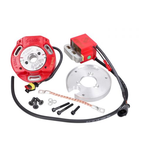 ROTOR APRILIA RS 125 ROTAX 122 ITALKIT - SELETTRA Ø58MM DIGITALIZADO R: EE.001.25.1