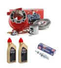EQUIPOMOTOR AIRSAL 80 C.C MINARELLI HORIZONTAL LC + 2 LITROS A747 + BR10EIX R: PCAA10