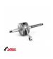 CIGUEÑAL PIAGGIO ZIP 50 / NRG 50 / EVOLUTION TOP RACING R: 6034023
