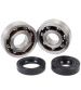 KIT RODAMIENTOS Y RETENES TPI (6303 TVH C4 + 6204 TVH C4) AM6 R: 100020F
