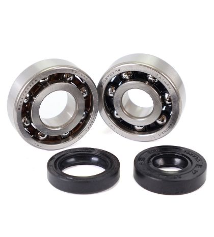 KIT RODAMIENTOS Y RETENES TPI (6303 TVH C4 + 6204 TVH C4) AM6 R: 100020F