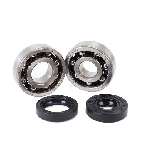 KIT RODAMIENTOS Y RETENES TPI (6303 TVH C4 + 6204 TVH C4) AM6 R: 100020F