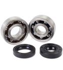 KIT RODAMIENTOS Y RETENES CIGUEÑAL TPI (6303 TVH C4 + 6204 TVH C4) AM6 R: 100020F