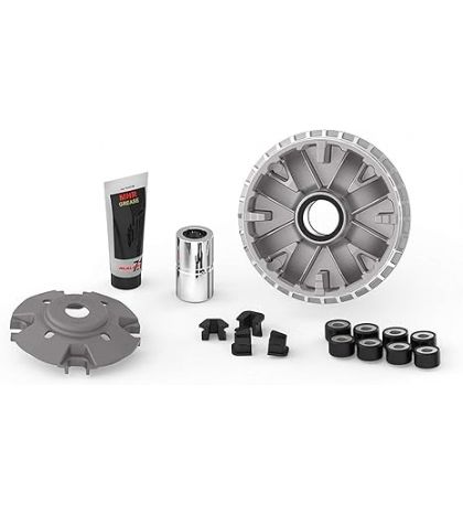 VARIADOR MULTIVAR YAMAHA X MAX 300 C.C. E4/E5 - MALOSSI - R: 5117861