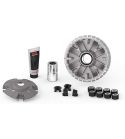 VARIADOR MULTIVAR YAMAHA X MAX 300 C.C. E4/E5 - MALOSSI - R: 5117861