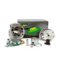 EQUIPOMOTOR DERBI EURO 2 / 80 C.C. PISTÓN 50 MM. - TOP PERFORMANCES -R: 9928030