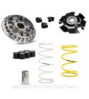 VARIADOR MALOSSI MULTIVAR HONDA SH 125 I EURO 3/4 R: 5119875