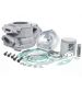 CILINDRO BIGBORE 154 C.C. POLINI APRILIA RS 125 ( ROTAX 122/133 ) R:146.0800