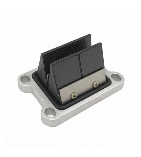 CAJA DE LAMINAS ITALKIT 8 PETALOS CARBONO AM6 / DERBI R: LC.44.40.1