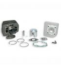 EQUIPOMTOR MALOSSI 70 C.C. DERBI HUNTER, ATLANTIS, PADDOCK, PREDATOR ( MOTOR DERBI ) R: 3111143