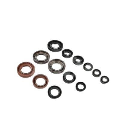 KIT RETENES MOTOR APRILIA RS 125 88/06 ( ROTAX 123 ) CENTAURO R: 63779