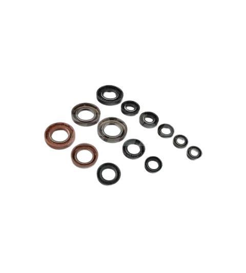 KIT RETENES MOTOR APRILIA RS 125 88/06 ( ROTAX 123 ) CENTAURO R: 63779
