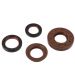 JUEGO RETENES MOTOR MINARELLI HORIZONTAL / VERTICAL - MALOSSI - R: 6619160