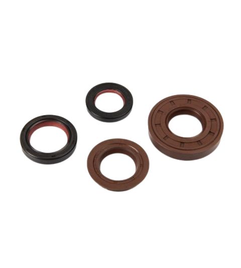 JUEGO RETENES MOTOR MINARELLI HORIZONTAL / VERTICAL - MALOSSI - R: 6619160